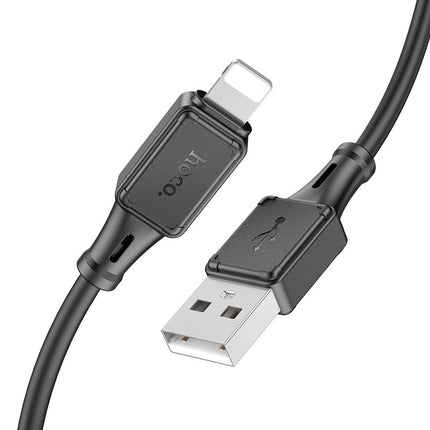 HOCO Cable USB to iP “X101 Assistant”